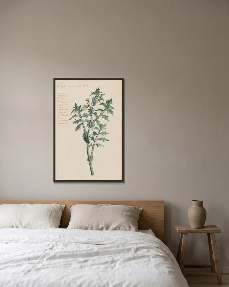 Common Smooth Sow Thistle av Joshua Webster inramad på en vägg