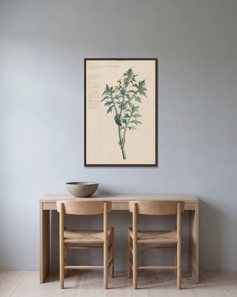 Common Smooth Sow Thistle av Joshua Webster inramad på en vägg