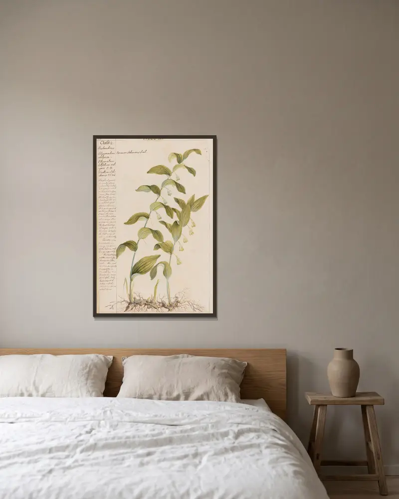 Echte Salomonssiegel von Joshua Webster gerahmt an einer Wand