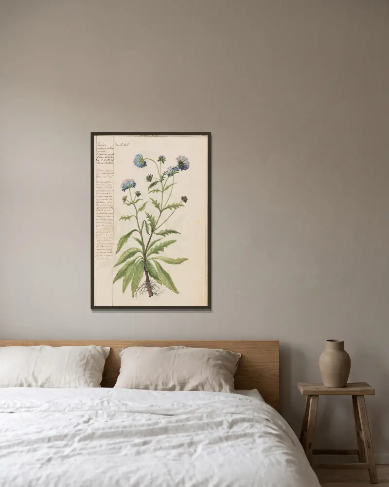 Teufelsabbiss von Joshua Webster gerahmt an einer Wand