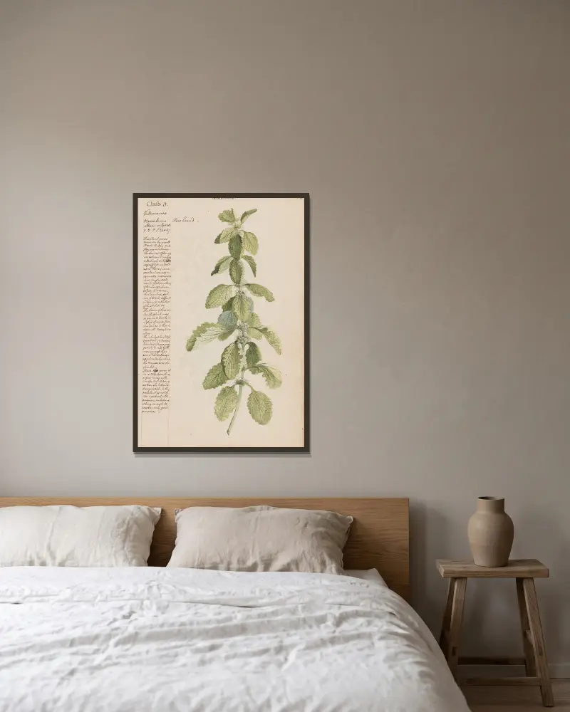 Hore Hound von Joshua Webster gerahmt an einer Wand