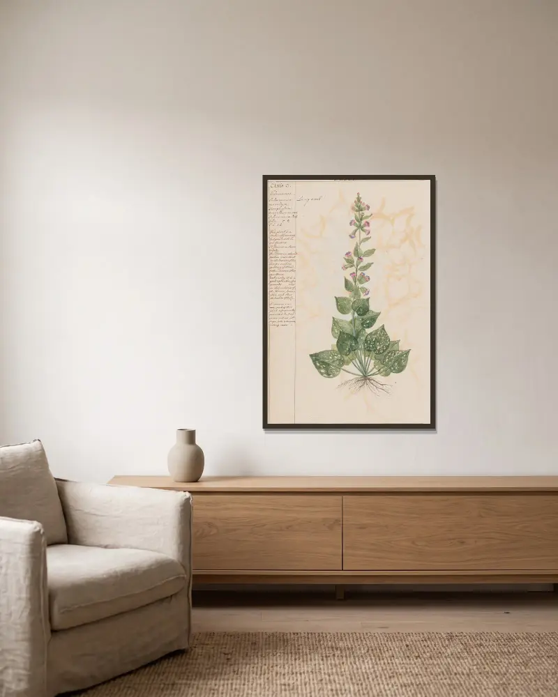Lungenkraut von Joshua Webster gerahmt an einer Wand