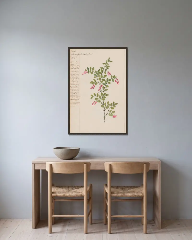 Der Berberitzenstrauch von Joshua Webster gerahmt an einer Wand