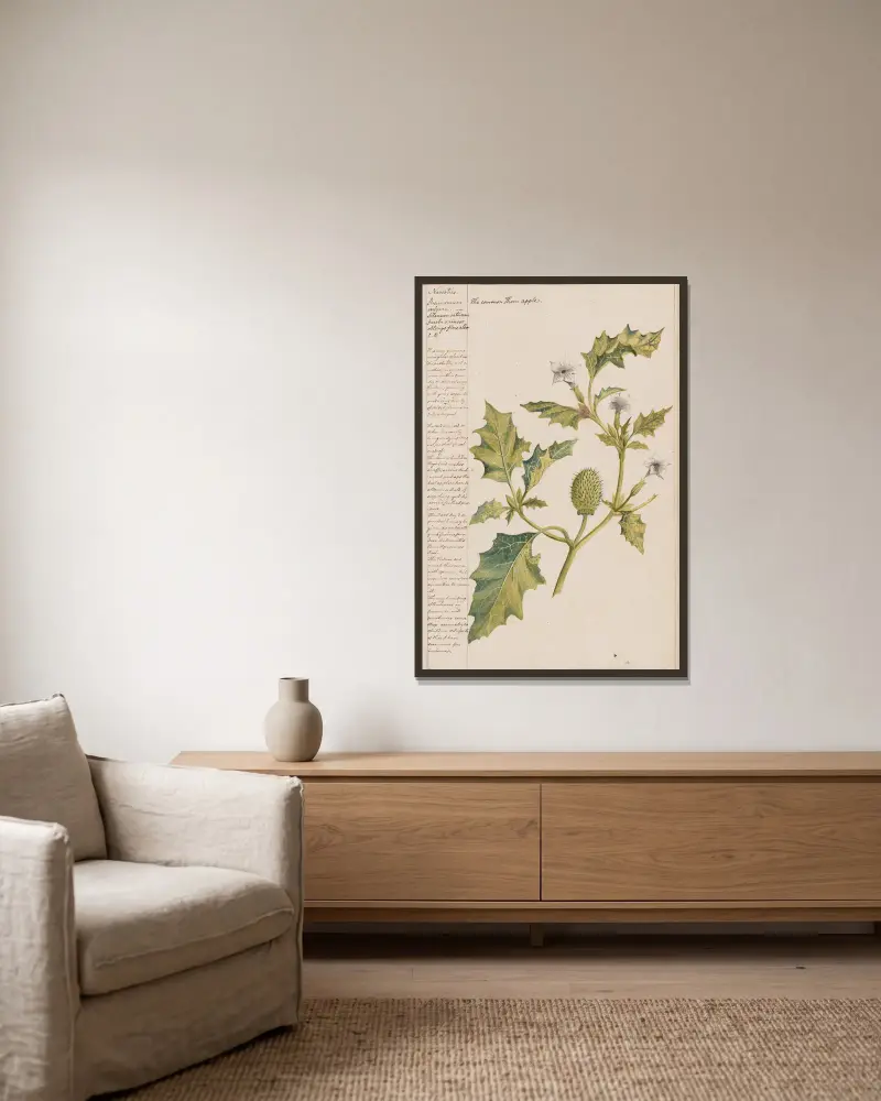 Der Stechapfel von Joshua Webster gerahmt an einer Wand