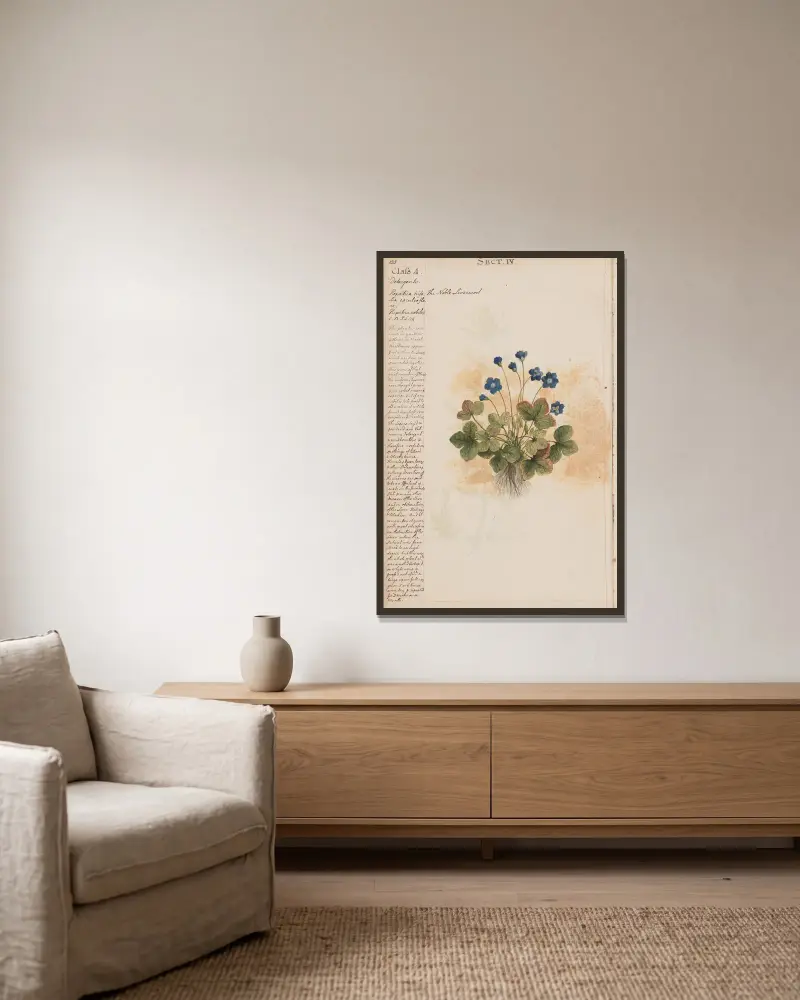Das edle Leberblümchen von Joshua Webster gerahmt an einer Wand