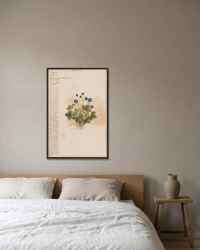 Das edle Leberblümchen von Joshua Webster gerahmt an einer Wand