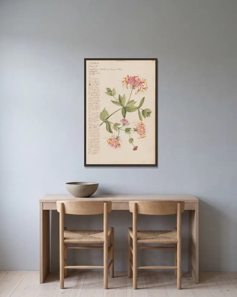 Wood bind oder Honeysuckle von Joshua Webster gerahmt an einer Wand