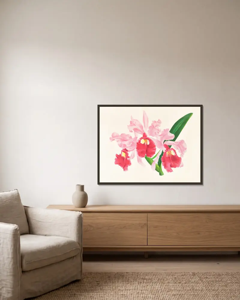 Cattleya gigas av Jean Jules Linden inramad på en vägg