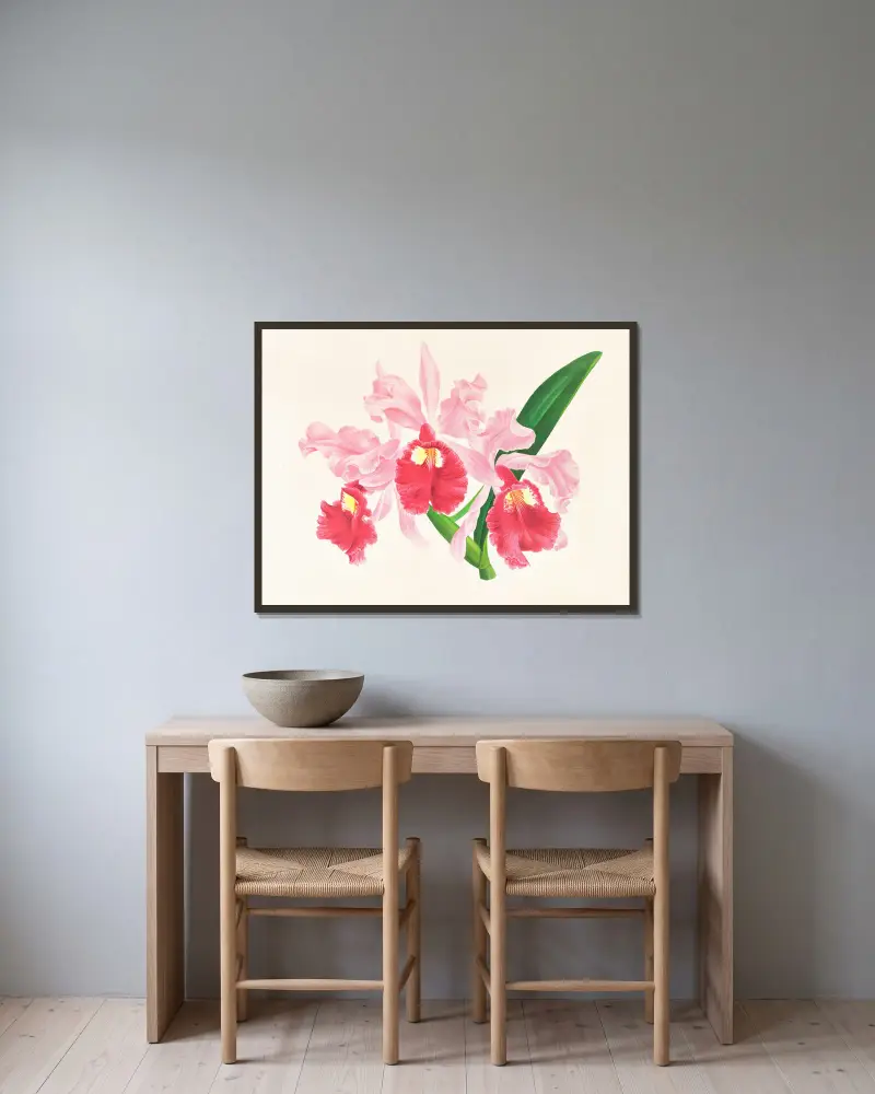Cattleya gigas av Jean Jules Linden inramad på en vägg