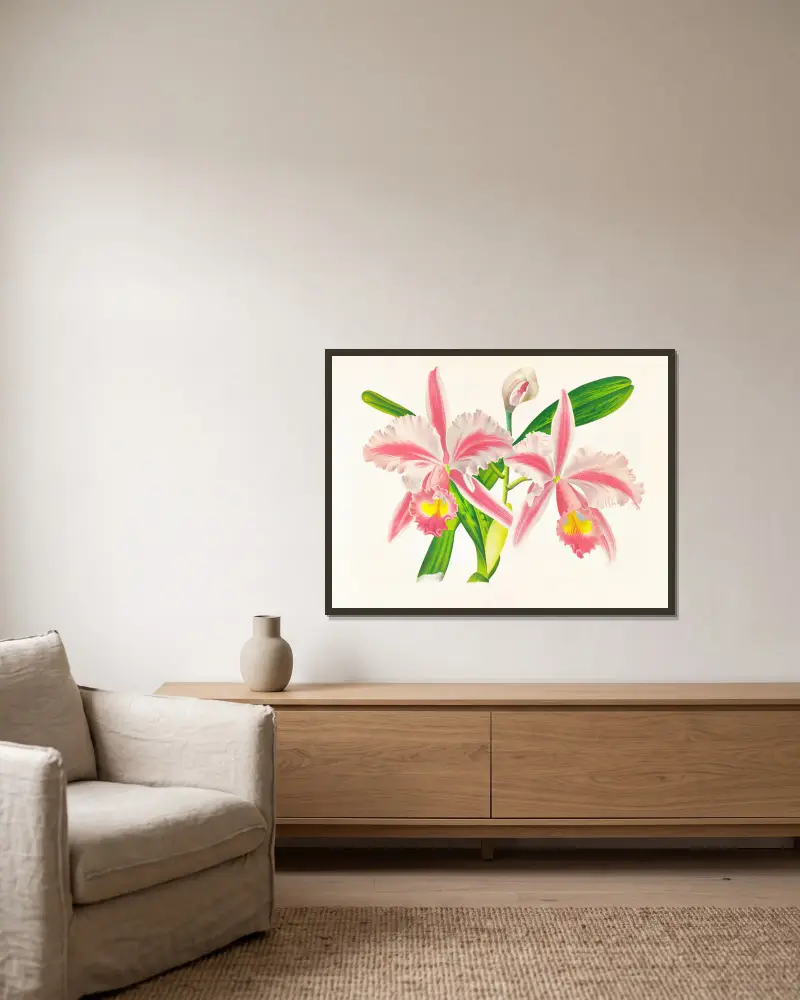 Cattleya Trianae var striata von Jean Jules Linden gerahmt an einer Wand