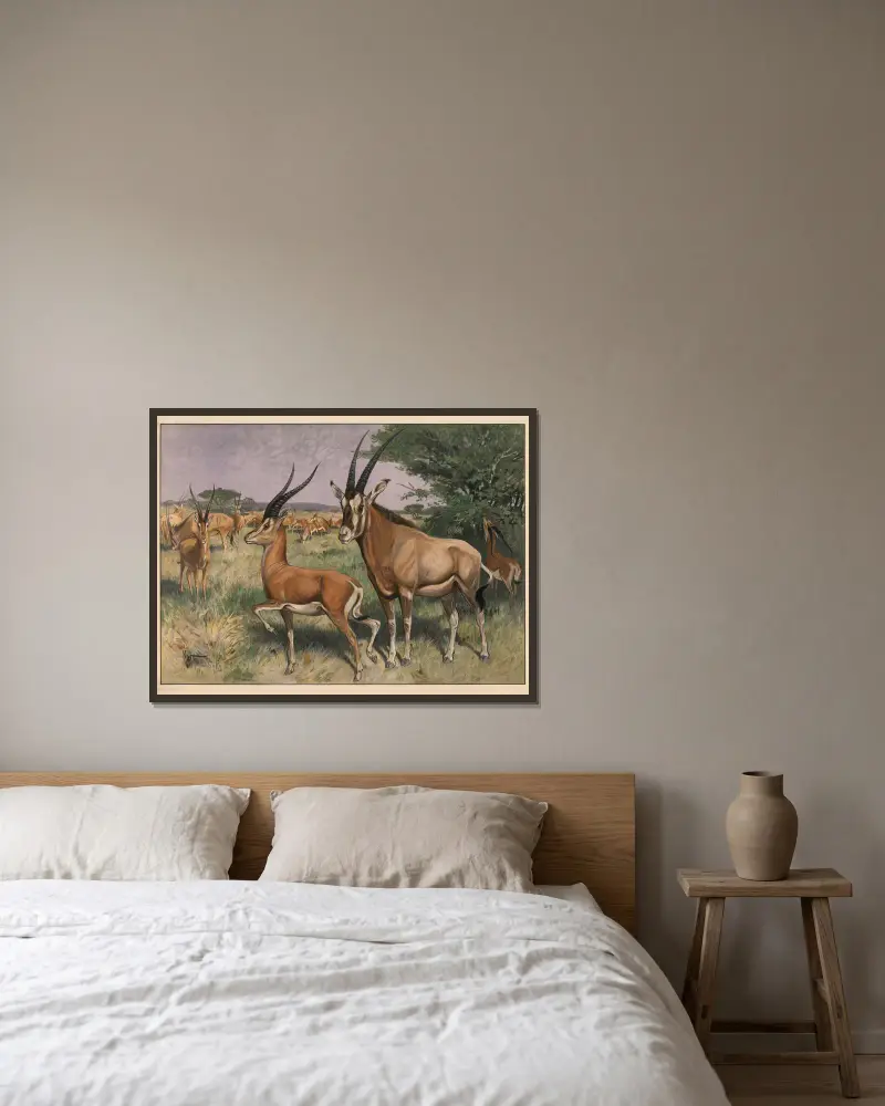 Antilope av Karl Wagner inramad på en vägg