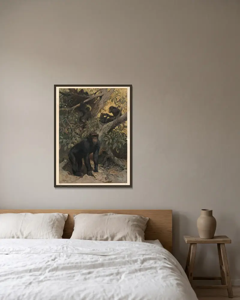 Chimpanse av Karl Wagner inramad på en vägg