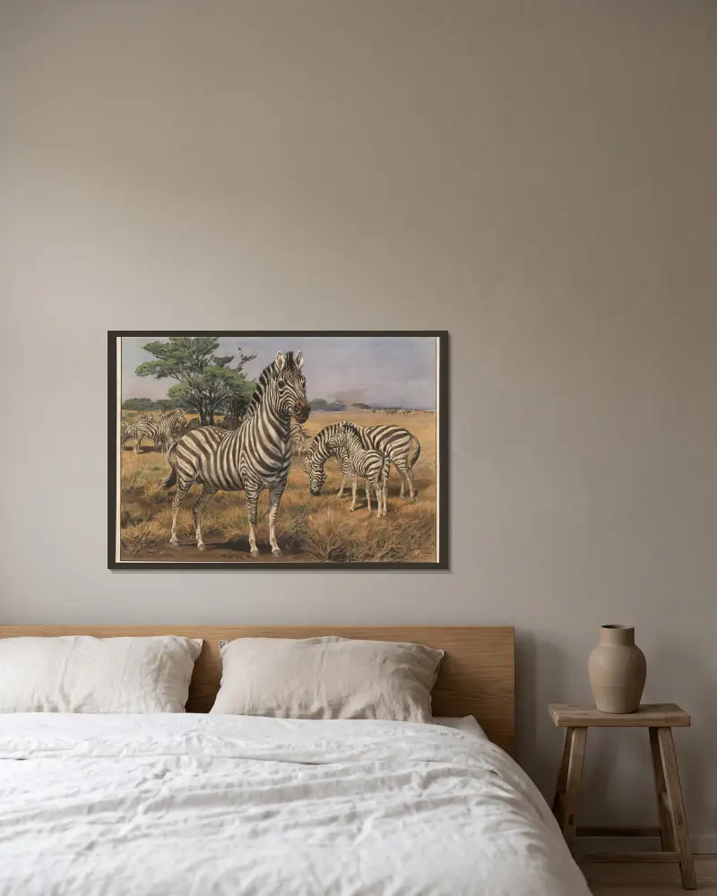 Zebra, Karl Wagner v rámu na stěně