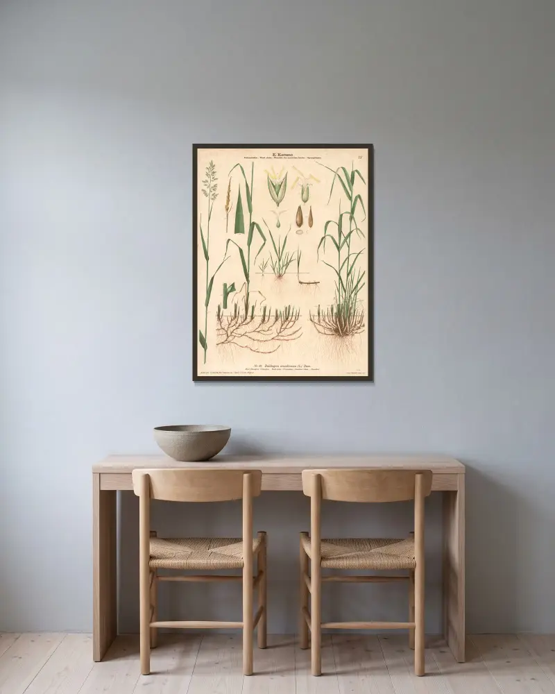 Reed grass av Knut Quelprud inramad på en vägg