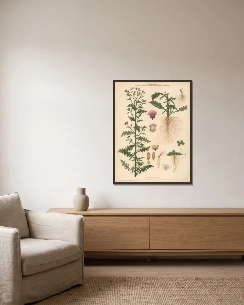 Welted Distel, Krause Distel von Knut Quelprud gerahmt an einer Wand