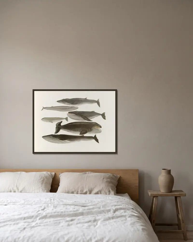 Nihon suisan doshokubutsu zushu Pl. 1 von Kumataro Ito gerahmt an einer Wand