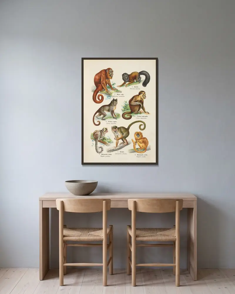 Djurrikets atlas, pl. 3 av Kurt Lampert inramad på en vägg