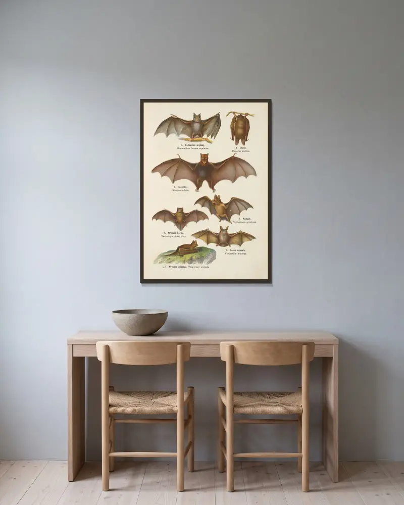 Djurrikets atlas, pl. 5 av Kurt Lampert inramad på en vägg