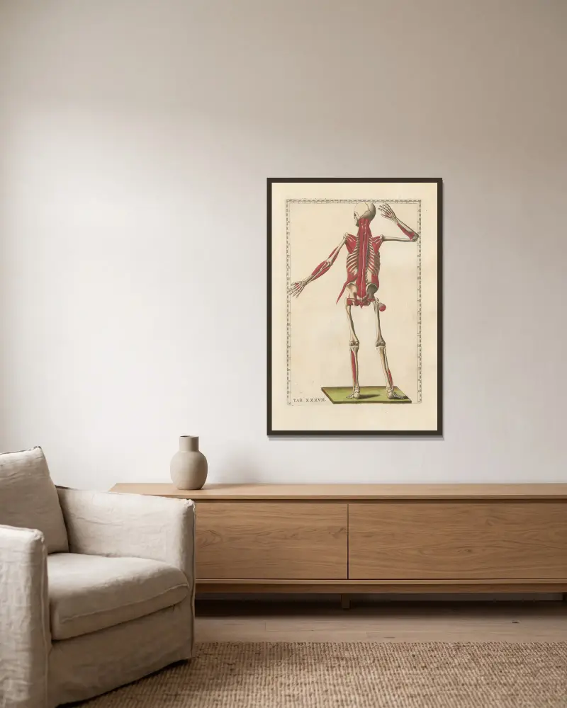 Bartholomaei Eustachii anatomici summi Romanae archetypae tabulae anatomicae novis explicationibus Pl.37 av Pier Leone Ghezzi inramad på en vägg