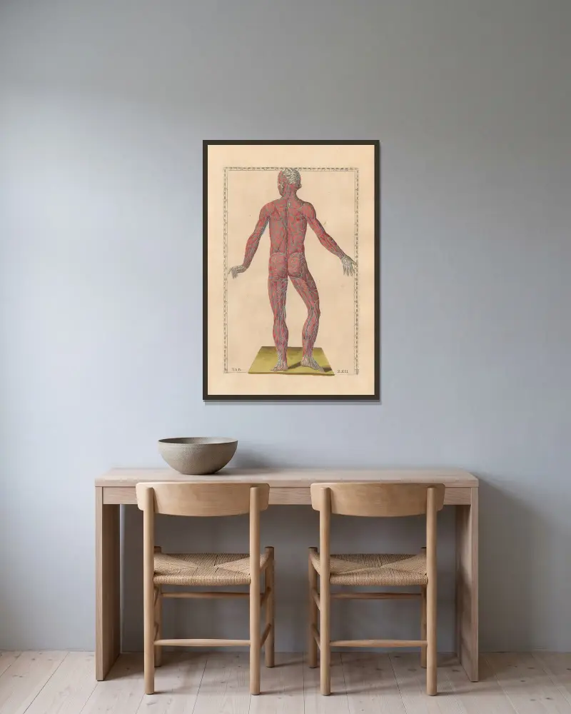 Bartholomaei Eustachii anatomici summi Romanae archetypae tabulae anatomicae novis explicationibus Pl.22 av Pier Leone Ghezzi inramad på en vägg