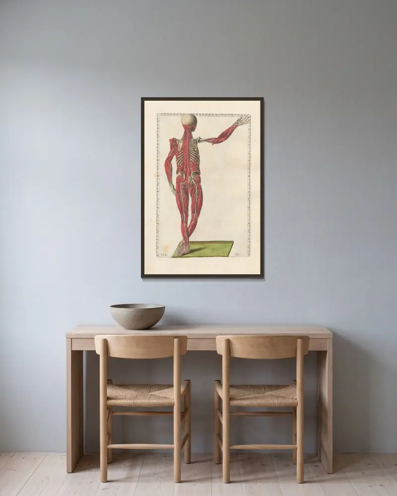 Bartholomaei Eustachii anatomici summi Romanae archetypae tabulae anatomicae novis explicationibus, Tafel 20 von Pier Leone Ghezzi gerahmt an einer Wand