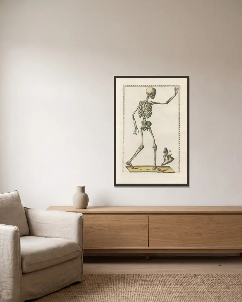 Bartolomeo Eustachis anatomiska planscher, romerska original, med nya förklaringar, plansch 45 av Pier Leone Ghezzi inramad på en vägg