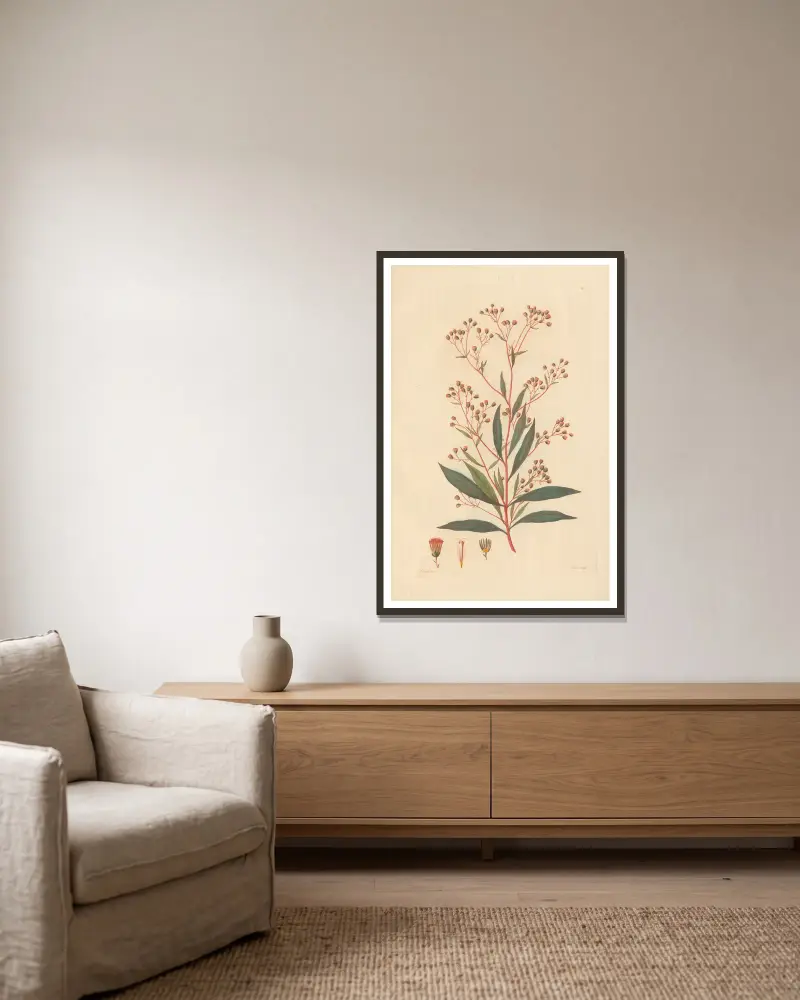 Eupatorium Ayapana von Leopold Trattinnick gerahmt an einer Wand