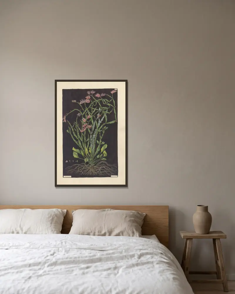 Statice mucronata von Leopold Trattinnick gerahmt an einer Wand