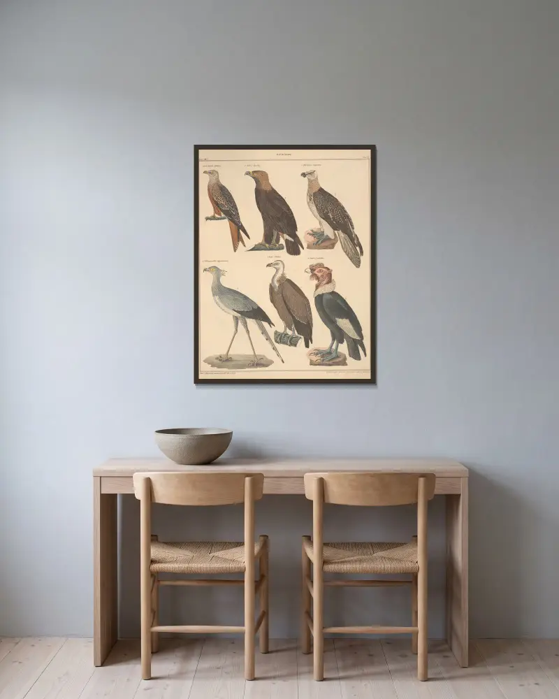 Abbildungen zu Oken’s Allgemeiner Naturgeschichte für alle Stände Pl. 121 von Lorenz Oken gerahmt an einer Wand