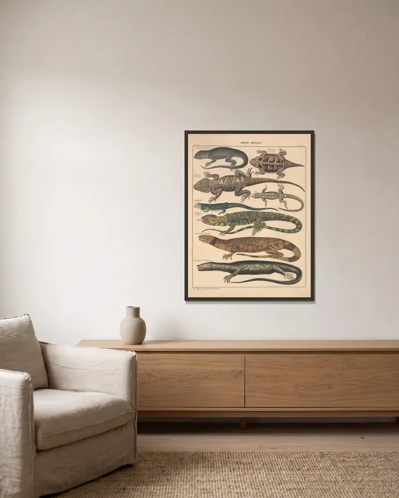 Illustrationer till Okens allmänna naturhistoria för alla stånd, plansch 112 av Lorenz Oken inramad på en vägg