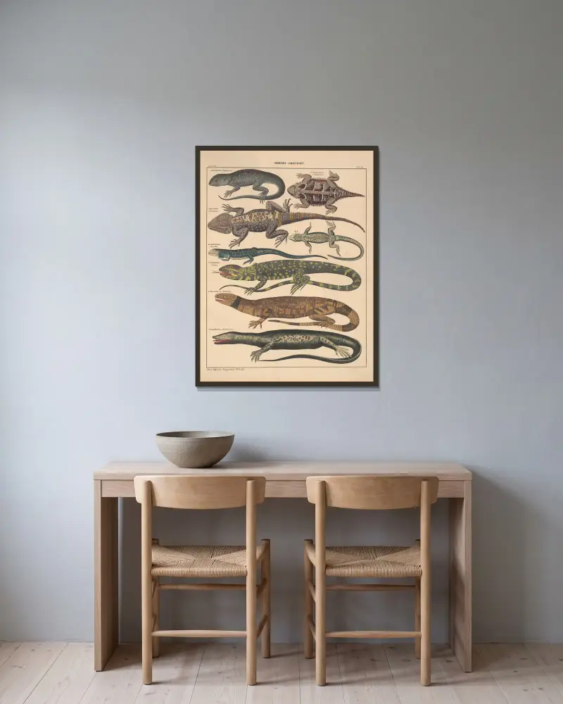 Illustrationer till Okens allmänna naturhistoria för alla stånd, plansch 112 av Lorenz Oken inramad på en vägg