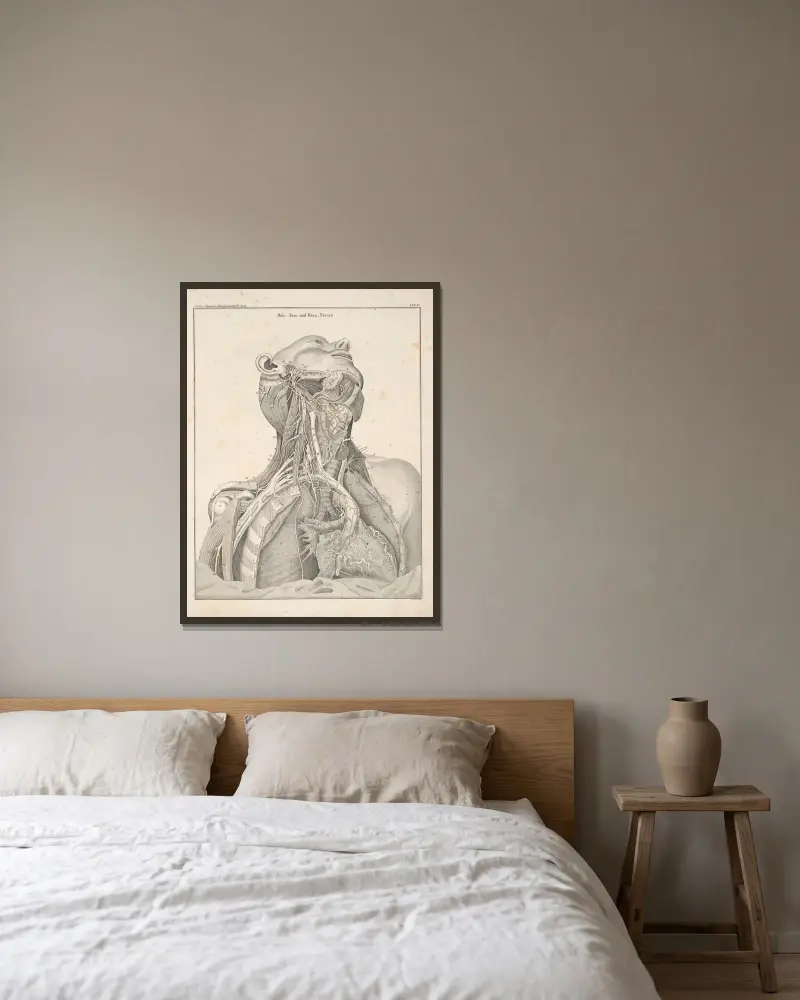 Abbildungen zu Oken’s Allgemeiner Naturgeschichte für alle Stände Pl.050 av Lorenz Oken inramad på en vägg