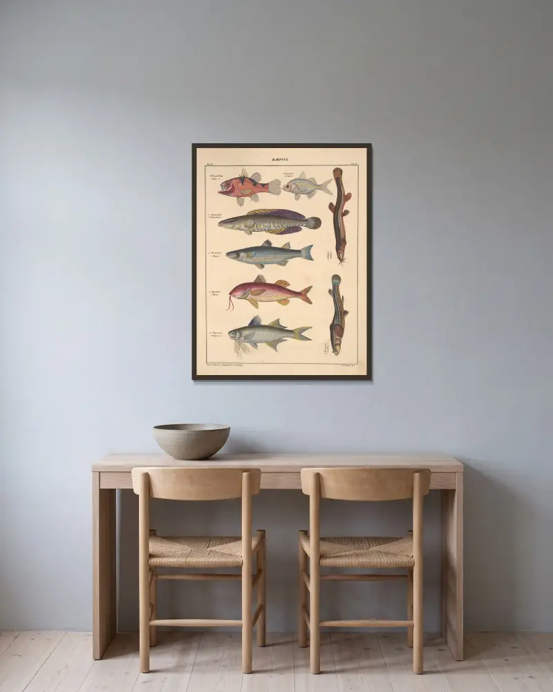 Illustrationer till Okens allmänna naturhistoria för alla stånd, plansch 99 av Lorenz Oken inramad på en vägg