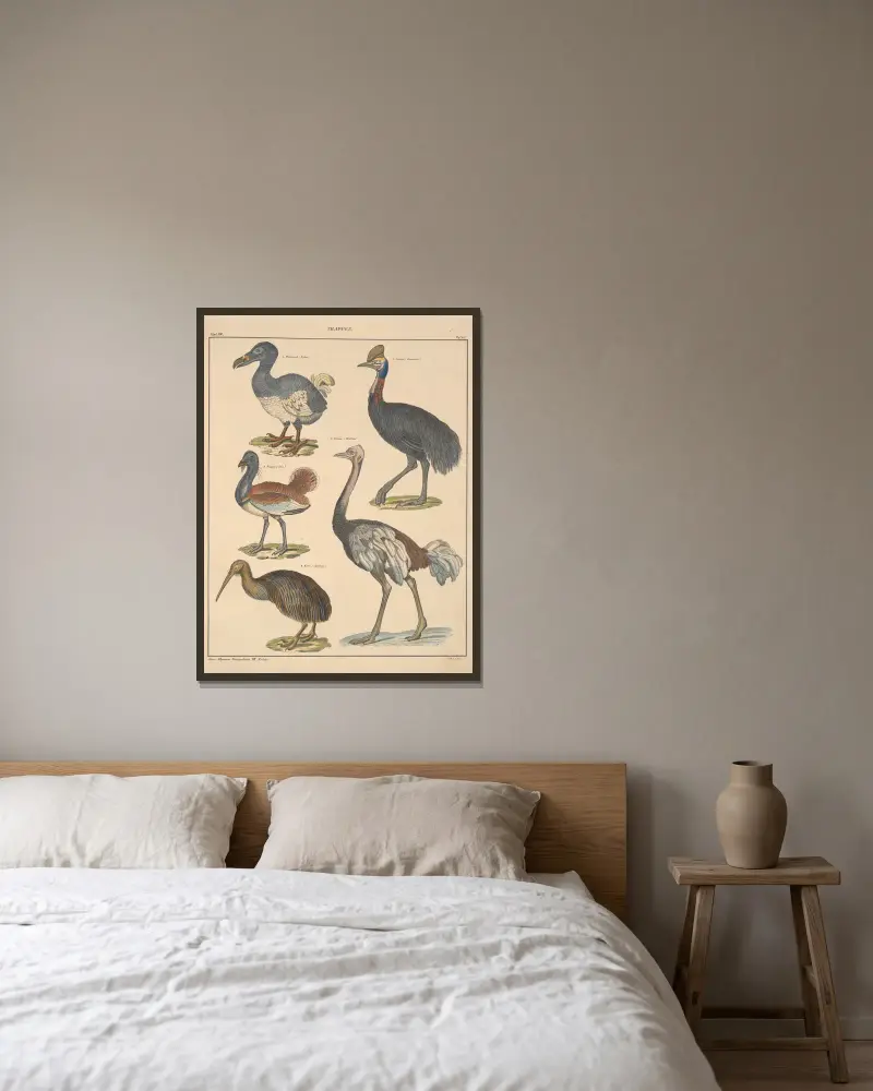 Illustrationer till Okens allmänna naturhistoria för alla stånd, plansch 132 av Lorenz Oken inramad på en vägg