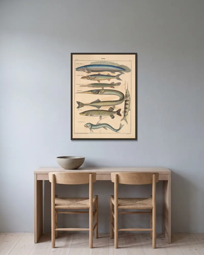 Illustrationer till Okens allmänna naturhistoria för alla stånd, plansch 102 av Lorenz Oken inramad på en vägg