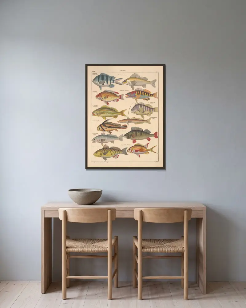 Illustrationer till Okens allmänna naturhistoria för alla stånd, plansch 98 av Lorenz Oken inramad på en vägg