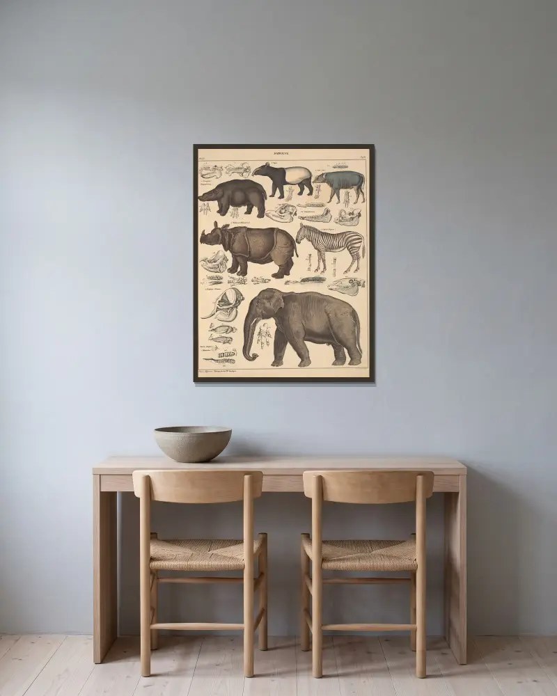 Illustrationer till Okens allmänna naturhistoria för alla stånd, plansch 137 av Lorenz Oken inramad på en vägg