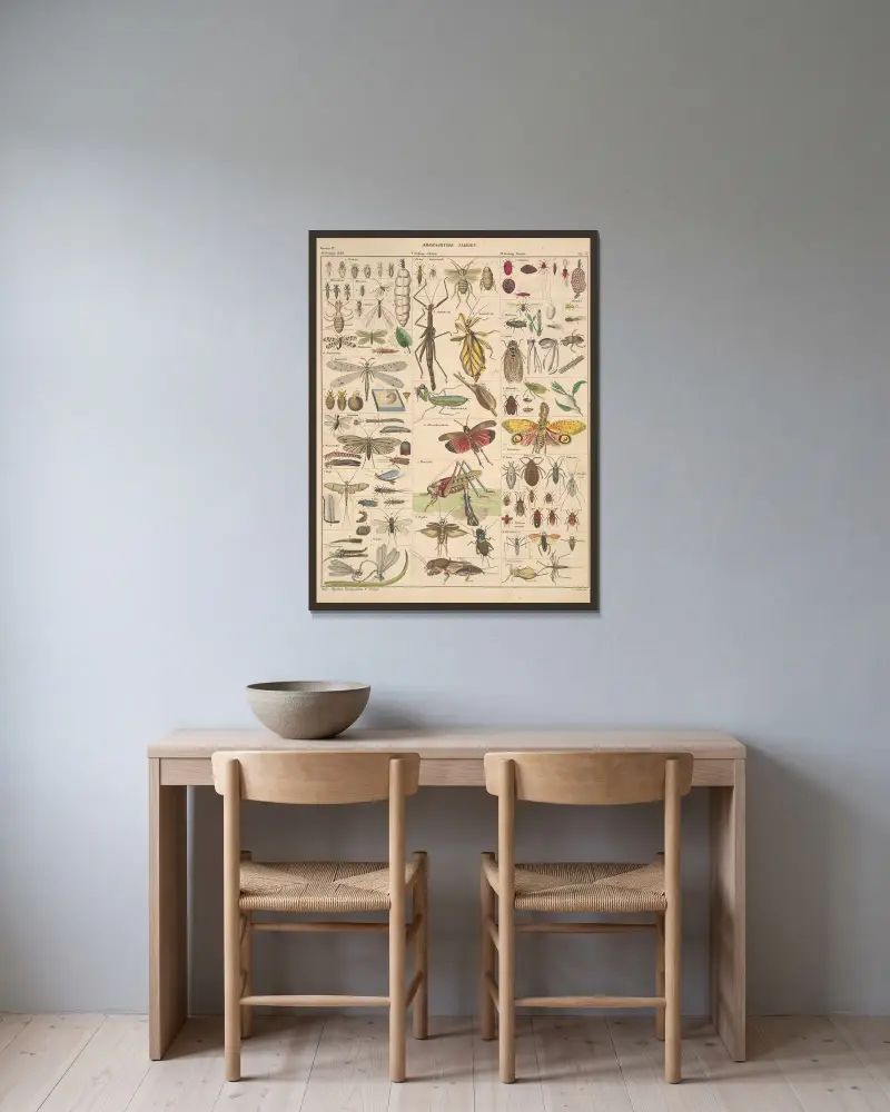 Illustrationer till Okens allmänna naturhistoria för alla stånd, plansch 86 av Lorenz Oken inramad på en vägg