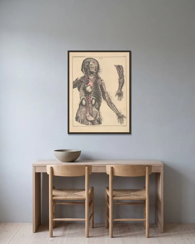Illustrationer till Okens allmänna naturhistoria för alla stånd, plansch 53 av Lorenz Oken inramad på en vägg