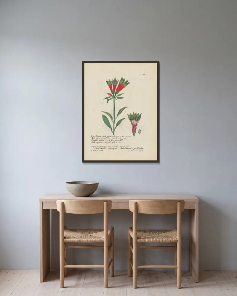 Alstroemeria psittacina von Jean Baptiste Louis Letellier gerahmt an einer Wand