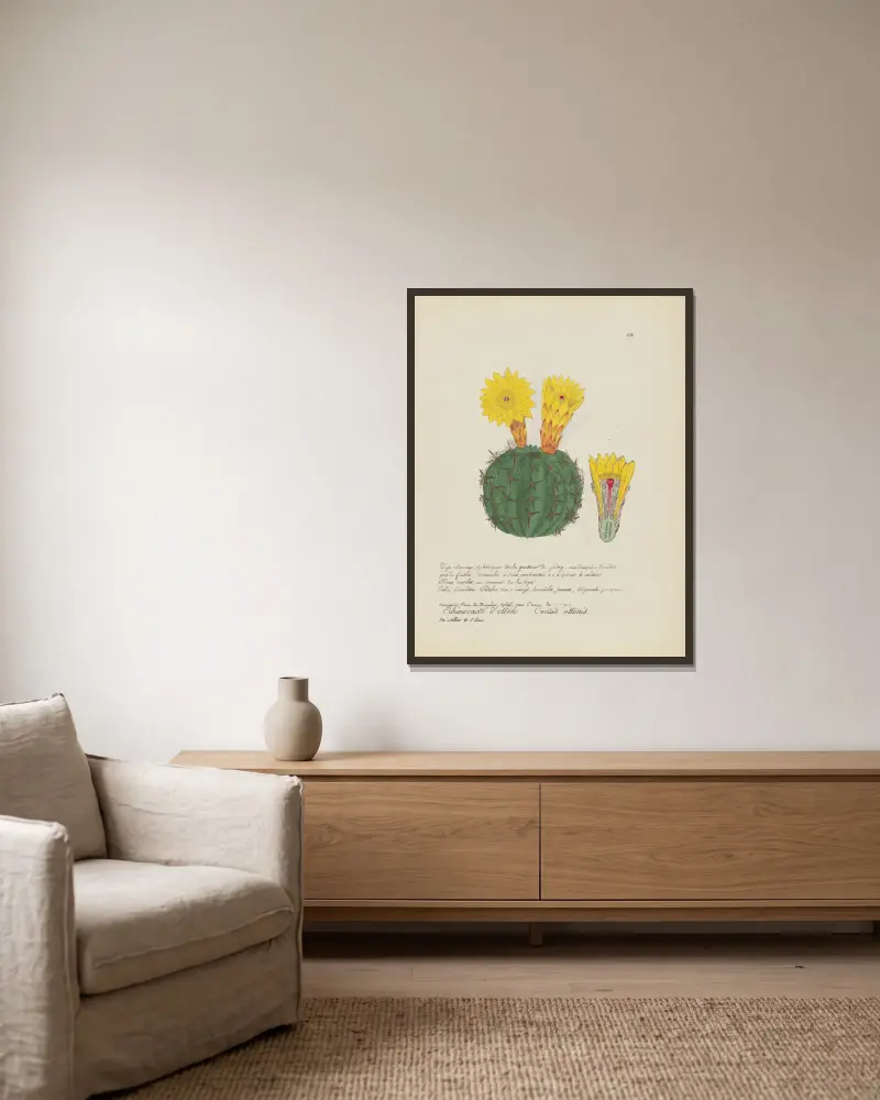 Cactus ottonis von Jean Baptiste Louis Letellier gerahmt an einer Wand