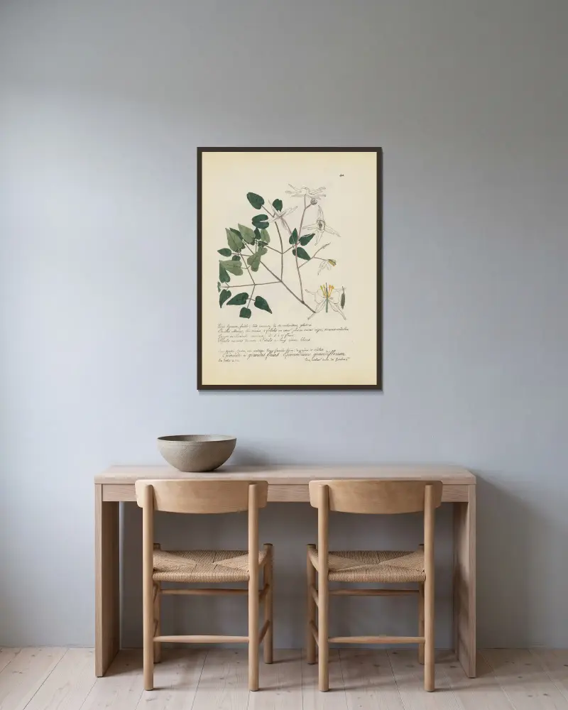 Epimedium grandiflorum av Jean Baptiste Louis Letellier inramad på en vägg