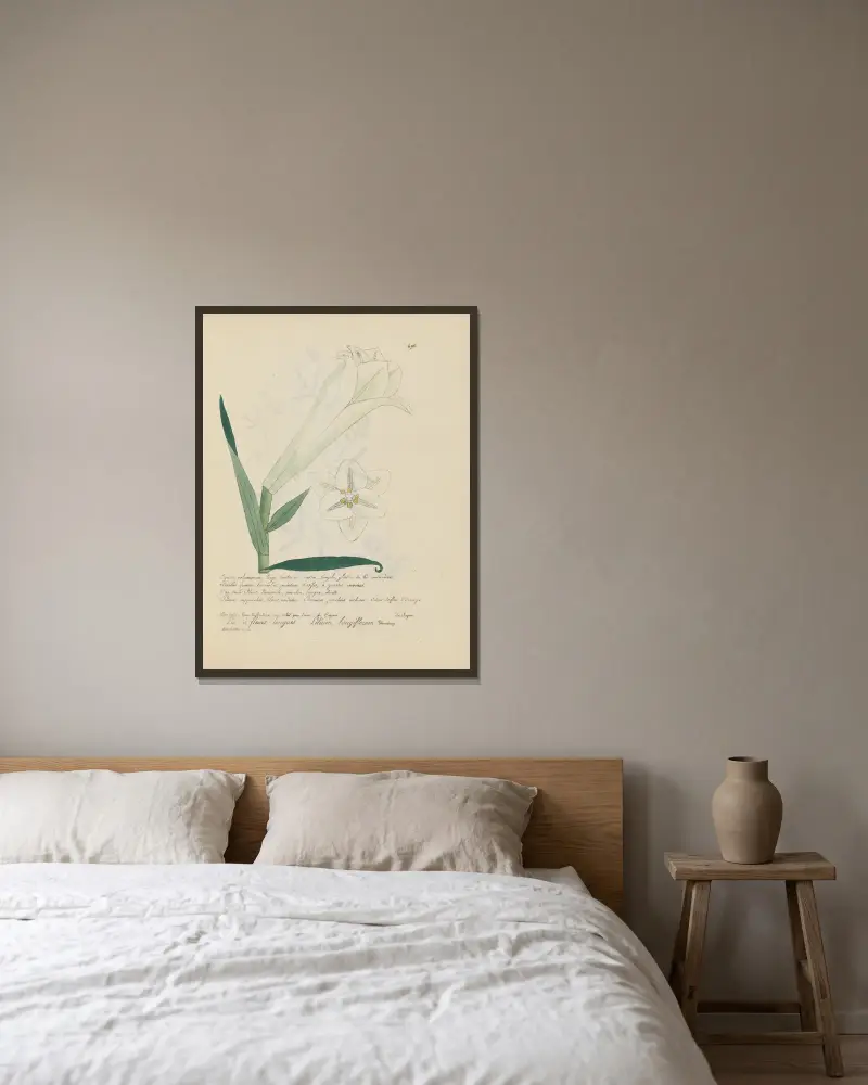Lilium longiflorum von Jean Baptiste Louis Letellier gerahmt an einer Wand