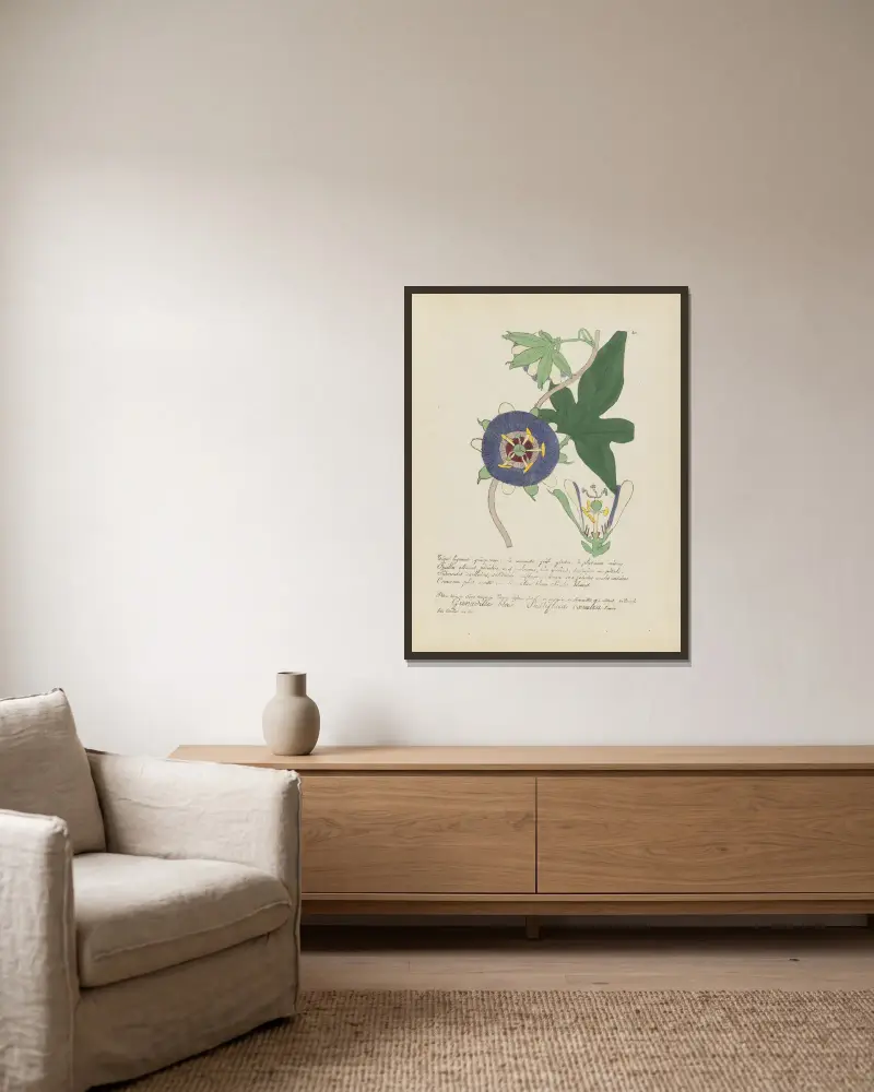 Passiflora caerulea von Jean Baptiste Louis Letellier gerahmt an einer Wand