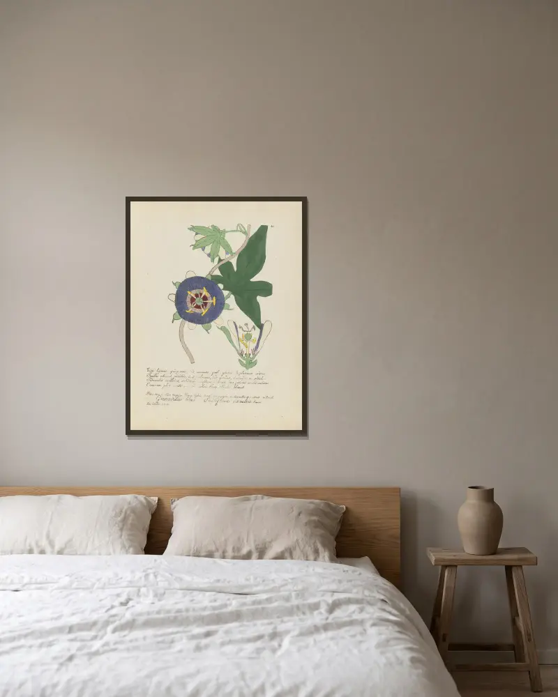 Passiflora caerulea von Jean Baptiste Louis Letellier gerahmt an einer Wand