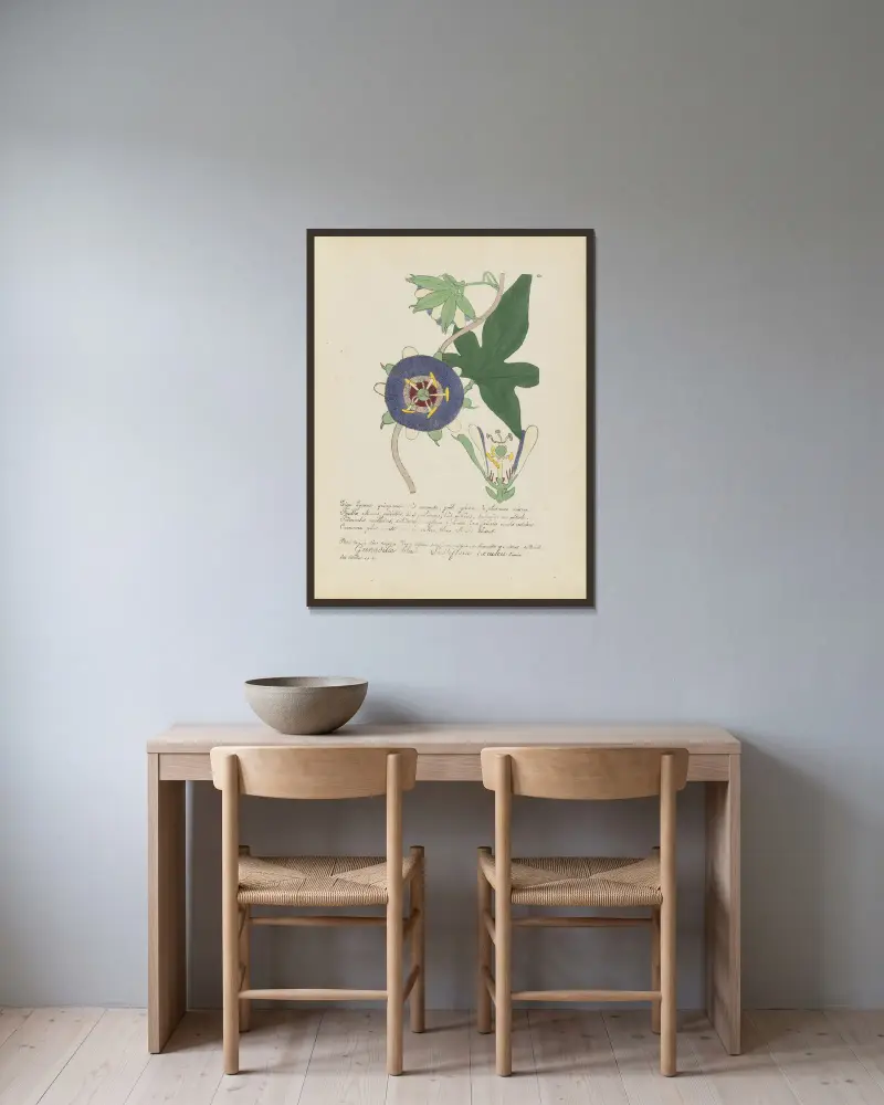 Passiflora caerulea von Jean Baptiste Louis Letellier gerahmt an einer Wand