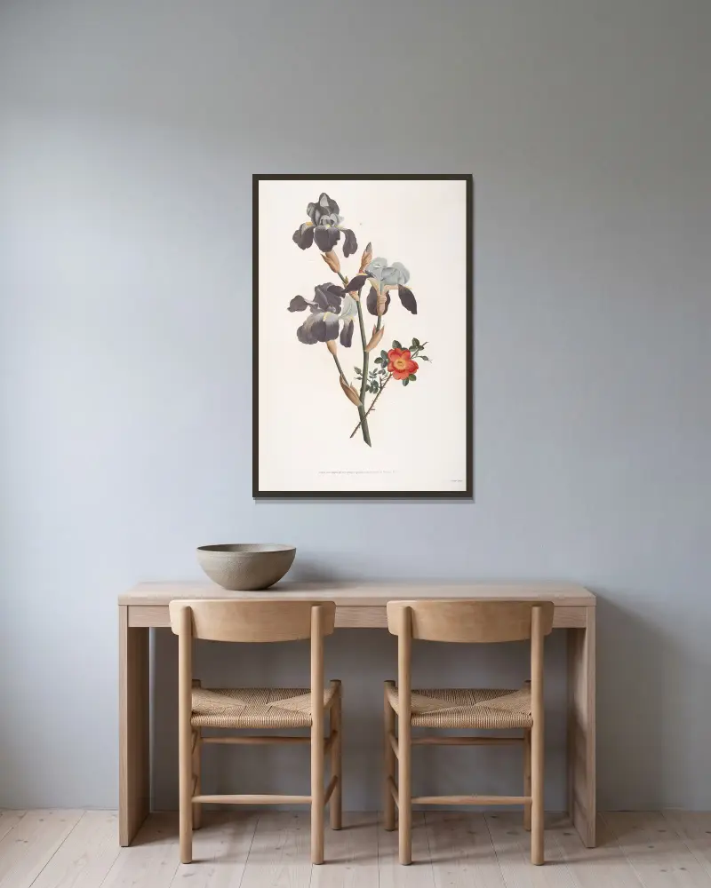Etudes d’Iris et Rose ponceau av Jean Louis Prévost inramad på en vägg