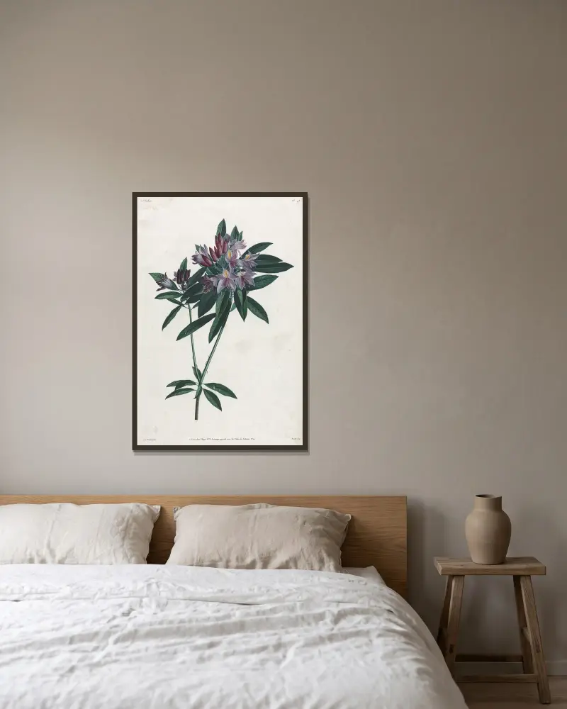 Pontic Rhododendron av Jean Louis Prévost inramad på en vägg