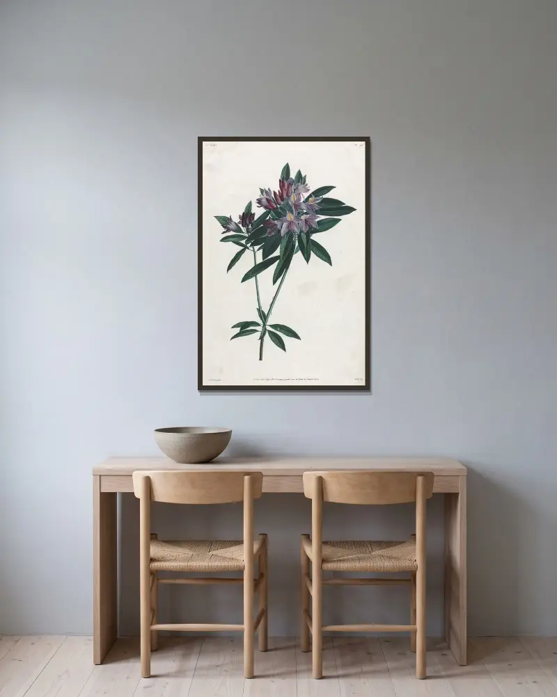 Pontic Rhododendron av Jean Louis Prévost inramad på en vägg