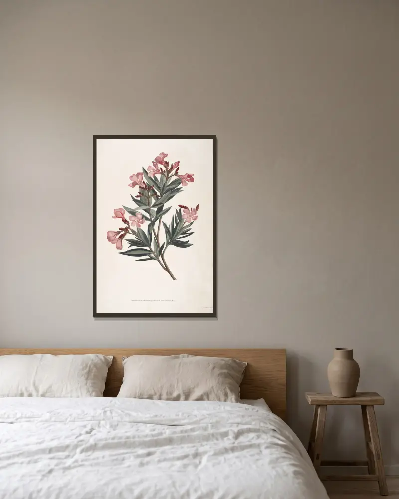 Kvist av oleander av Jean Louis Prévost inramad på en vägg